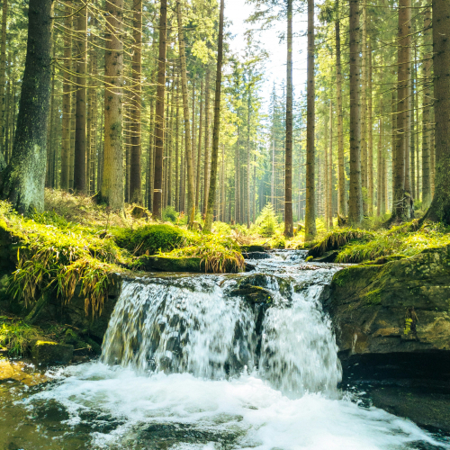 Die Gesunde Tagestour mit Becker Reisen