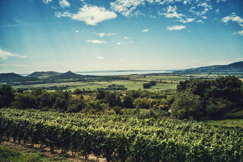 Plattensee, Budapest und Puszta &ndash; Bild 3