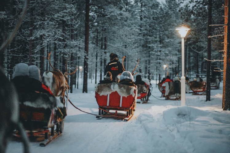 Weihnachtsfahrt ins Ahorn Waldhotel in Altenberg