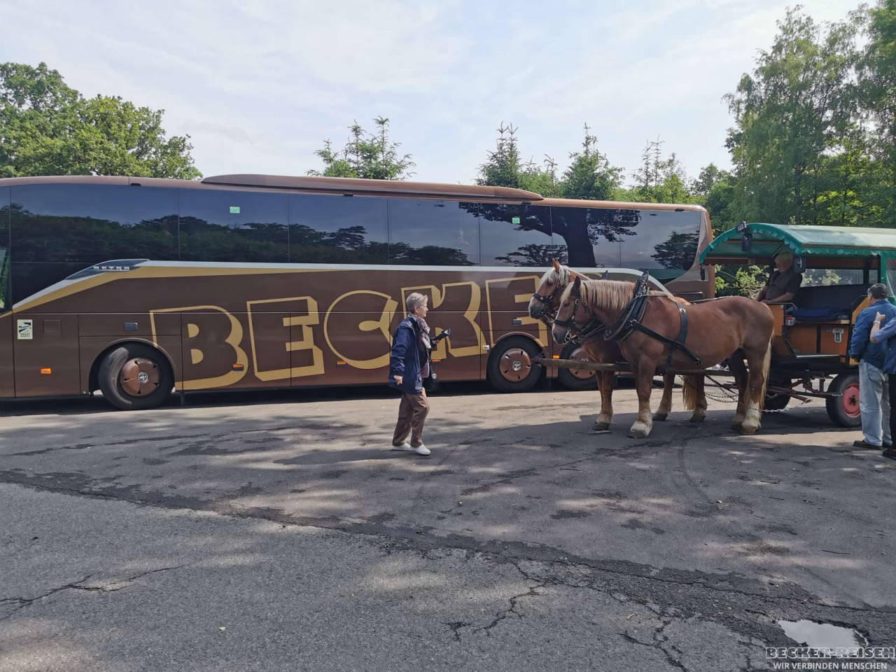 becker-reisen-harz-kutsche1