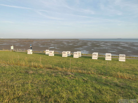 b2ap3_thumbnail_becker-reisen-nordsee2026-10 Anreise nach Dageb&uuml;ll &ndash; Nordseeluft, Deichromantik und ein gelungener Auftakt - Reisejournal