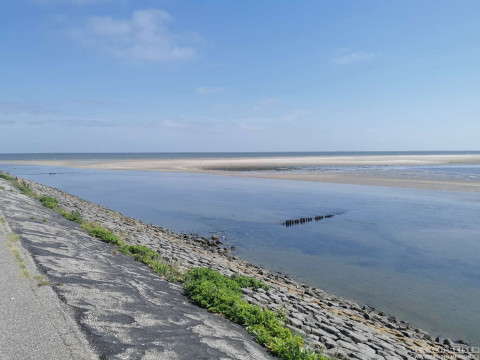 b2ap3_thumbnail_becker-reisen-nordsee2026-2-13 Tagesausflug zur Insel Amrum - Reisejournal