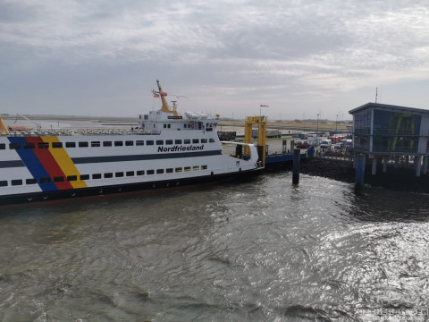 b2ap3_thumbnail_becker-reisen-nordsee2026-2-14 Tagesausflug zur Insel Amrum - Reisejournal