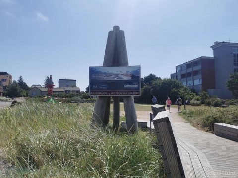 b2ap3_thumbnail_becker-reisen-nordsee2026-2-16 Tagesausflug zur Insel Amrum - Reisejournal
