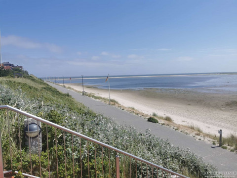 b2ap3_thumbnail_becker-reisen-nordsee2026-2-3 Tagesausflug zur Insel Amrum - Reisejournal