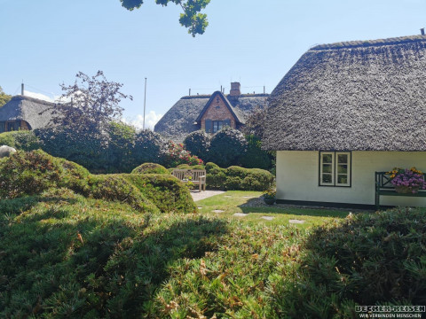 b2ap3_thumbnail_beckerreisen-norden2026-sylt19 Sommer, Sonne und Nordseeluft &ndash; unser Tagesausflug nach Sylt - Reisejournal