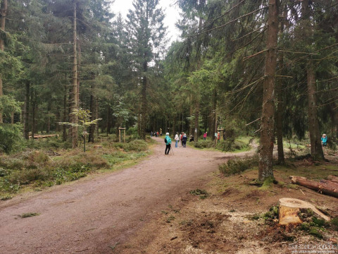 b2ap3_thumbnail_becker-gesundhetstag-waldspatziergang11 Waldbaden in Oberhof &ndash; gemeinsam durchatmen und genie&szlig;en - Reisejournal