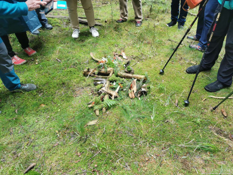 b2ap3_thumbnail_becker-gesundhetstag-waldspatziergang7 Waldbaden in Oberhof &ndash; gemeinsam durchatmen und genie&szlig;en - Reisejournal